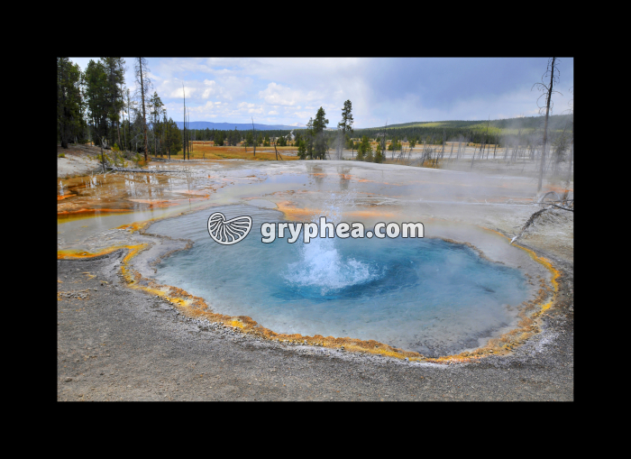 Firehole Spring - Source hydrothermale (Yellowstone NP, USA) - gryphea.org